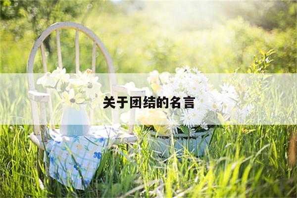 关于团结的名言