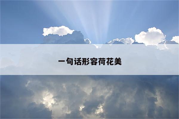 一句话形容荷花美