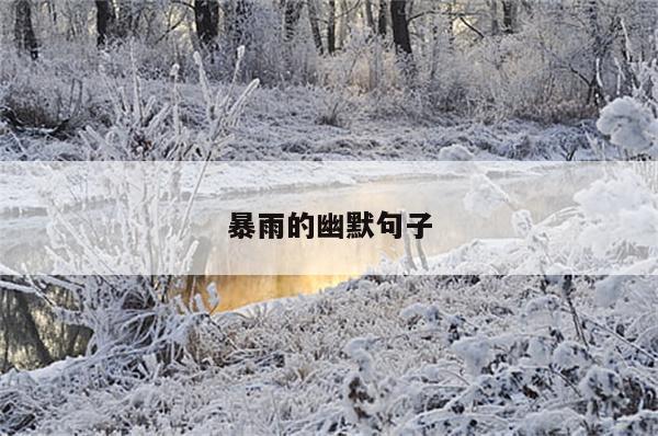 暴雨的幽默句子