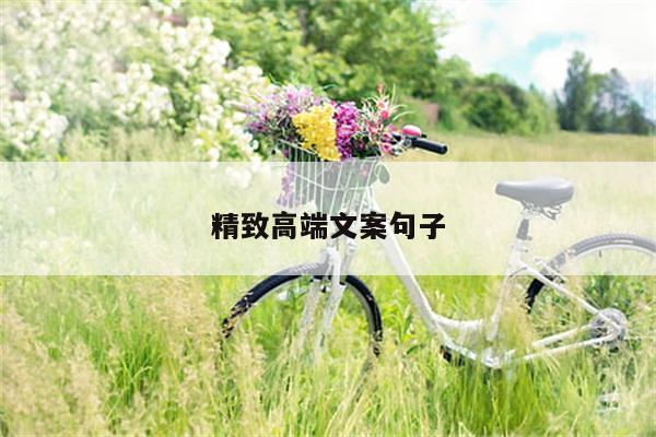 精致高端文案句子