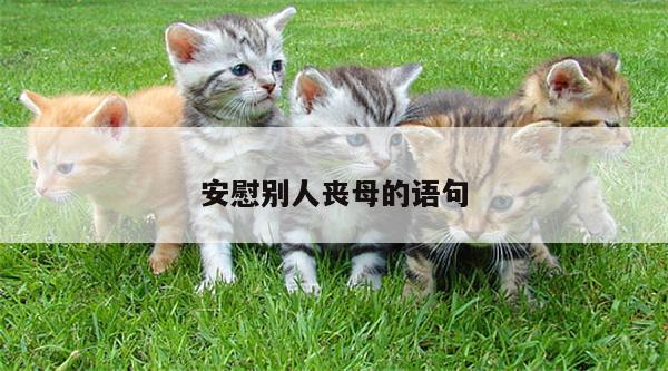 安慰别人丧母的语句