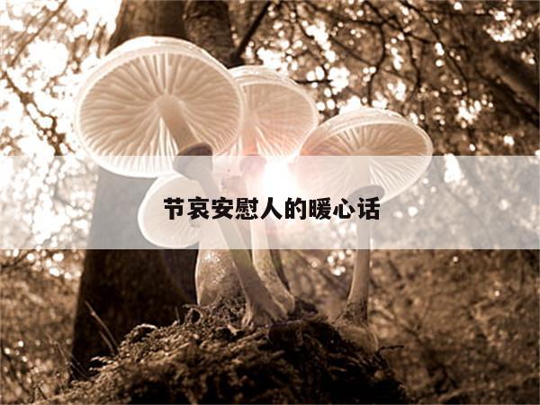 节哀安慰人的暖心话