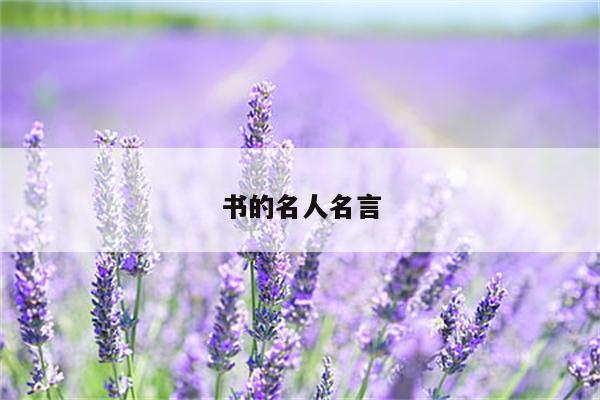 书的名人名言