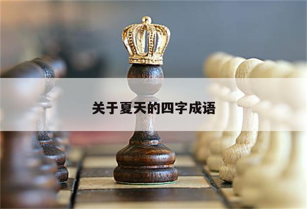 关于夏天的四字成语