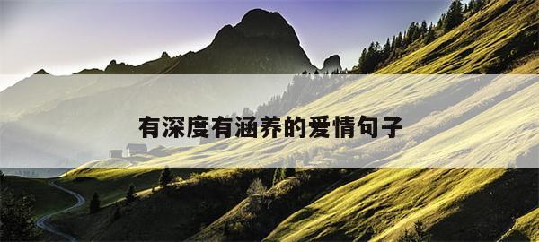 有深度有涵养的爱情句子