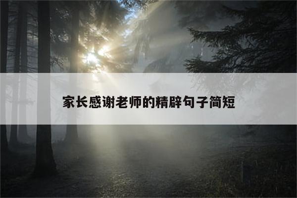 家长感谢老师的精辟句子简短