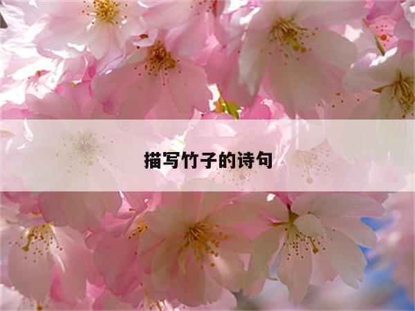 描写竹子的诗句
