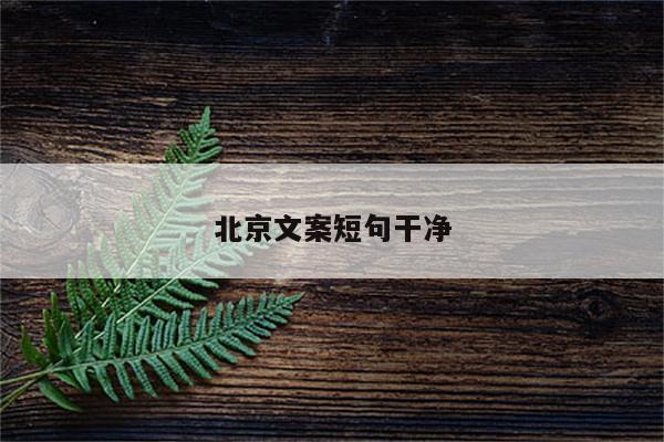 北京文案短句干净